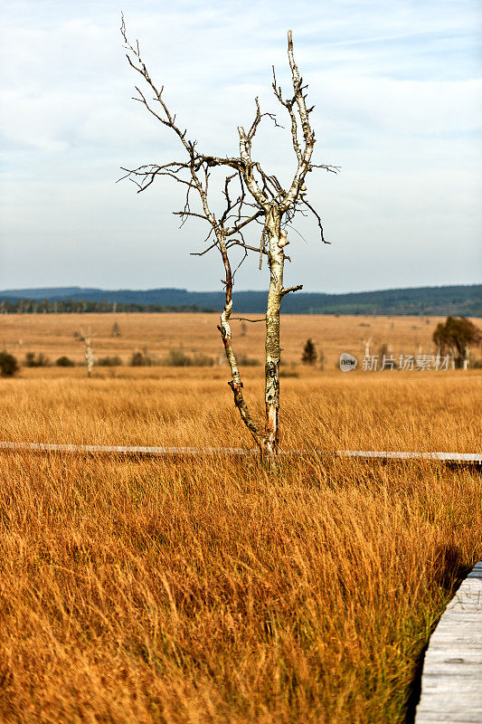 Hautes Fagnes 和 Baraque Michel